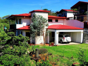 Casa Gatitos big whole House